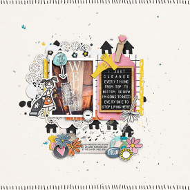20-ce--ayi_mommode-housekeeping.jpg