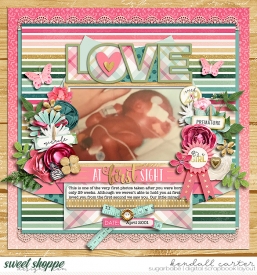 2001-04_LoveAtFirstSight_WEB_KC.jpg