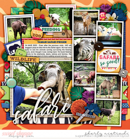200304_j_atthezoo-copy.jpg