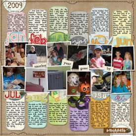 2009-review-copy.jpg