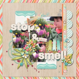 2011_04_13-stop-and-smell-f.jpg