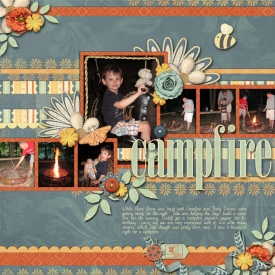 2011_07_02-campfire.jpg