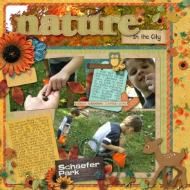 2011_10_06-schaefer-park.jpg