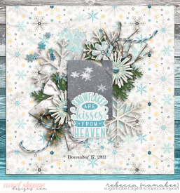 2011_12_17-snowflakes-riverrose-winterwonderlandFWP-temp.jpg