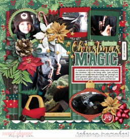 2011_12_20-decorated-the-car-sixpack11pg4.jpg
