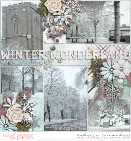 2011_4_20-snowstorm-ponytails-pockettemptations6-1s.jpg