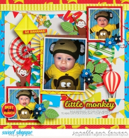 2012-11-6-Little-Monkey.jpg