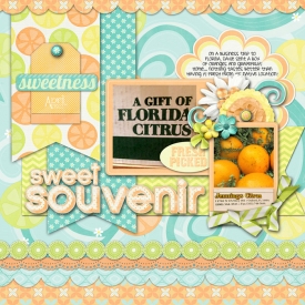 2012_04_27-florida-oranges.jpg
