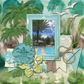 2012_06_16-feet-and-palms.jpg