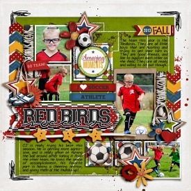 2013-09-Redbirds-WEB.jpg