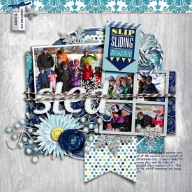2013-12-24-Sled-WEB.jpg