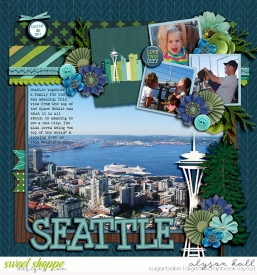 2013-Seattle-WEB-WM.jpg