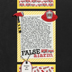 2014-01-26-FalseAlarm-web.jpg
