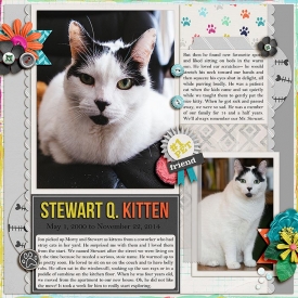2014-11-23-Stewart-web.jpg