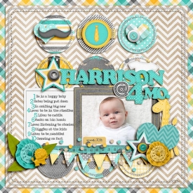 2014-Harrison-WEB.jpg