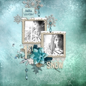 2014_11_9-first-snow.jpg
