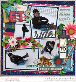 2014_4_14-sledding-cschneider-HP350pg1.jpg