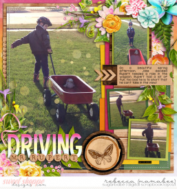 2014_4_18-driving-mr-rupert-cschneider-HP308pg2.jpg