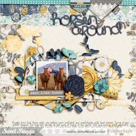 2015-03-Horsin-Around-WEB.jpg