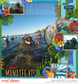 2015-11-07_ManateeKiss_WEB_KC.jpg