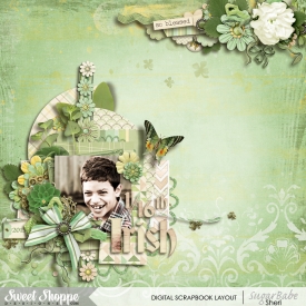 20150228_BlessedLifeButtercup.jpg