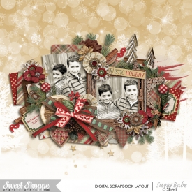 20151203_POA1_countrychristmas_700.jpg