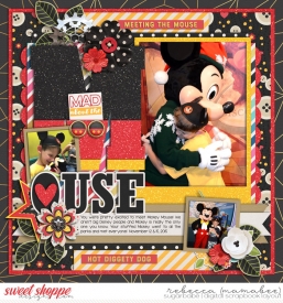2015_11_12-meeting-mickey-mouse.jpg