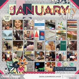 2015_12_30-january-2015-photo-recap.jpg