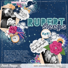 2015_2_13-rupert-sleeps.jpg