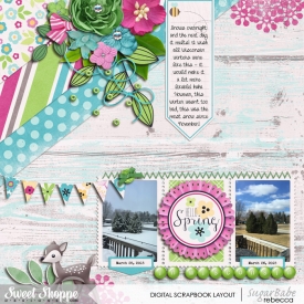 2015_3_26-spring-in-wi.jpg