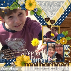2015_4_29-imperfect-motherhood.jpg