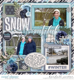 2016-01-23_SnowBeautiful_WEB_KC.jpg