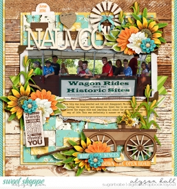 2016-06-Nauvoo-WEB-WM.jpg