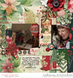 2016_12_1-Jakes-face-seeing-the-elves-alchemywildstudio-freeasabird3-tp.jpg