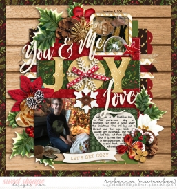 2017_12_11-christmas-picnic-HP271pg2.jpg