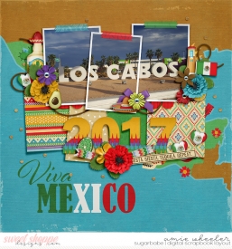 2017_12_Viva_Mexico-babe.jpg