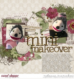 2017_1_6-mini-makeover.jpg