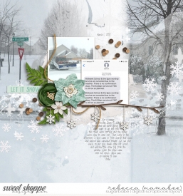 2017_3_1-snow-day.jpg