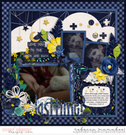 2017_3_23-our-bed-in-morning-cschneider-HP315pg1.jpg