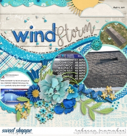 2017_3_8-windstorm-ScrapSnap6.jpg