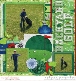 2017_4_8-backyard-golf-cschneider-DTF9left.jpg