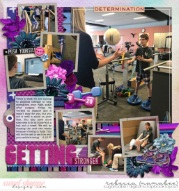 2017_5_12-physical-therapy-cschneider-palooza249.jpg