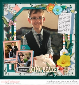 2017_5_25-ring-bearer-HP263pg2.jpg