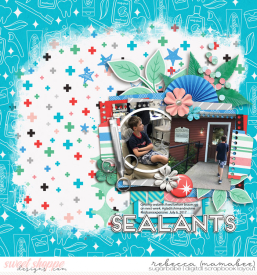 2017_6_7-sealants-ljs-4story-noted3.jpg