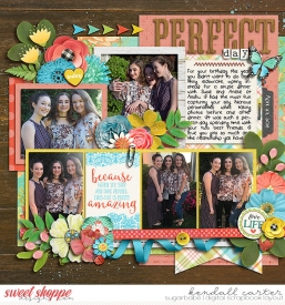 2018-04-27_PerfectDay_WEB_KC.jpg