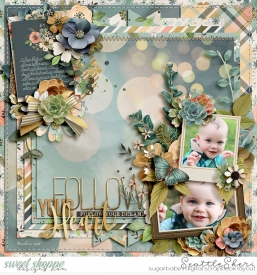 20180315_HP221_Boho_750.jpg