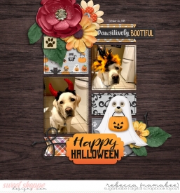 2018_10_26-dalton-costumes-ezpages2-2.jpg