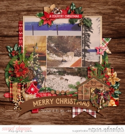 2018_12_Merry_Christmas_at_the_Lake-babe.jpg
