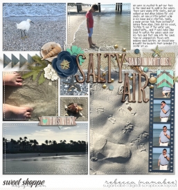 2018_1_27-Naples-shore.jpg