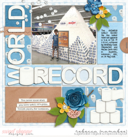 2018_5_24-TP-world-record-at-meijer-joceedesigns-noted-vol4-page3.jpg